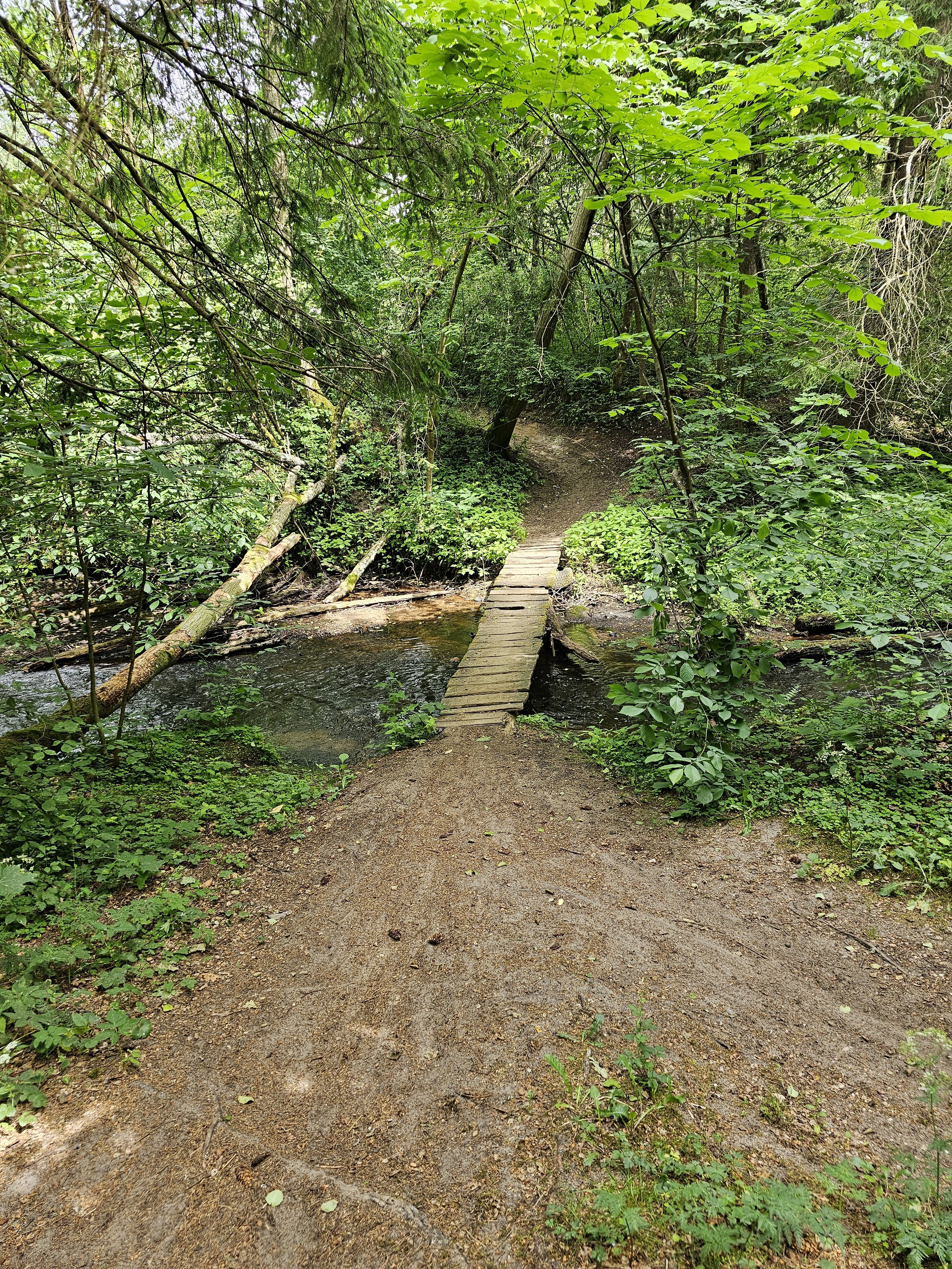 Click image for larger versionName:	Tiltukas.jpgViews:	0Size:	5,12 MBID:	2233298