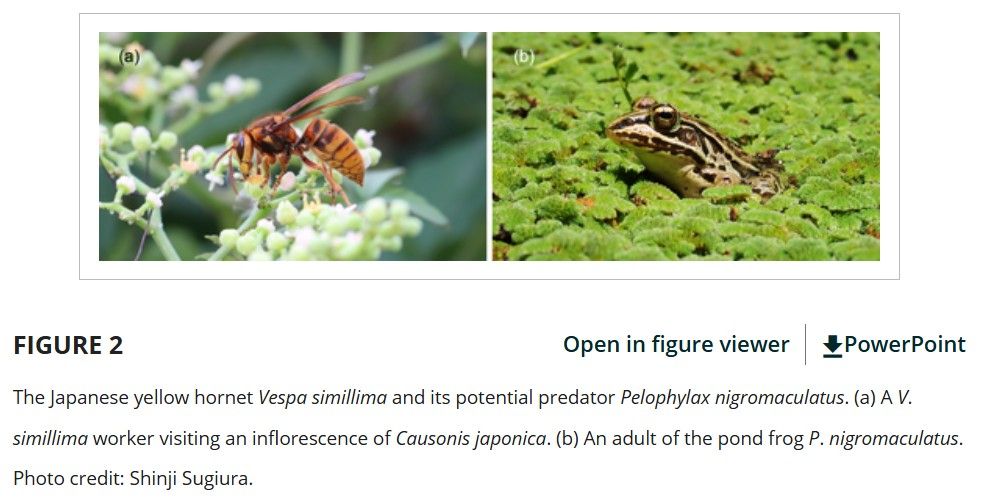 Click image for larger version  Name:	Screenshot.jpg Views:	0 Size:	74,2 kB ID:	2233367