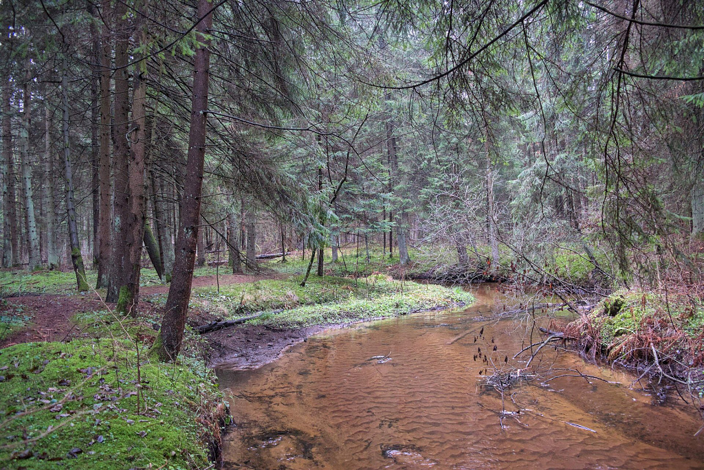 Click image for larger version

Name:	2_veržuva_20241130.jpg
Views:	37
Size:	748,4 kB
ID:	2233430