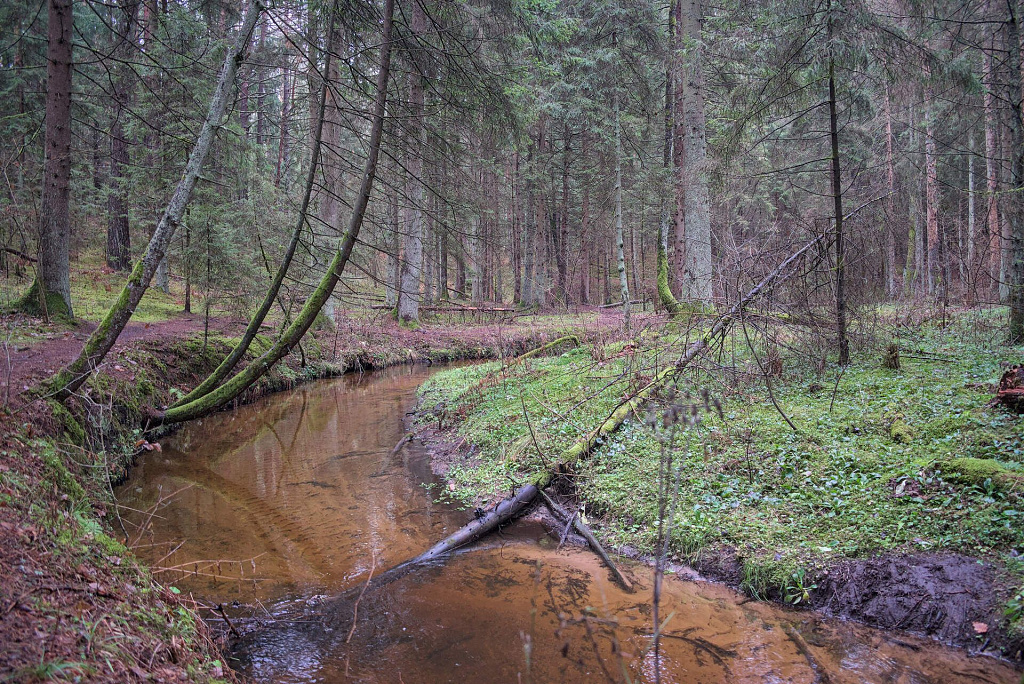 Click image for larger version

Name:	3_veržuva_20241130.jpg
Views:	33
Size:	767,6 kB
ID:	2233431