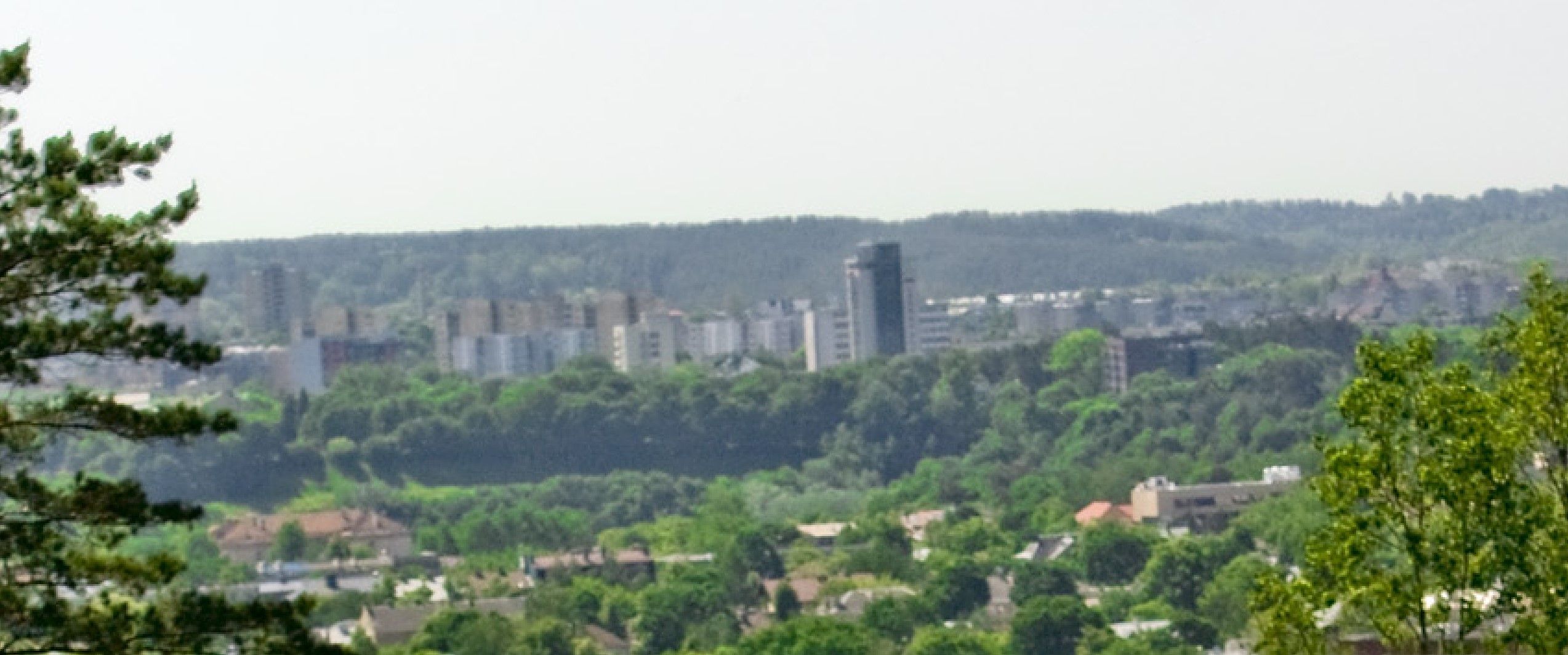 Click image for larger version

Name:	Screenshot 2024-12-04 173408.jpg
Views:	135
Size:	301,1 kB
ID:	2233880