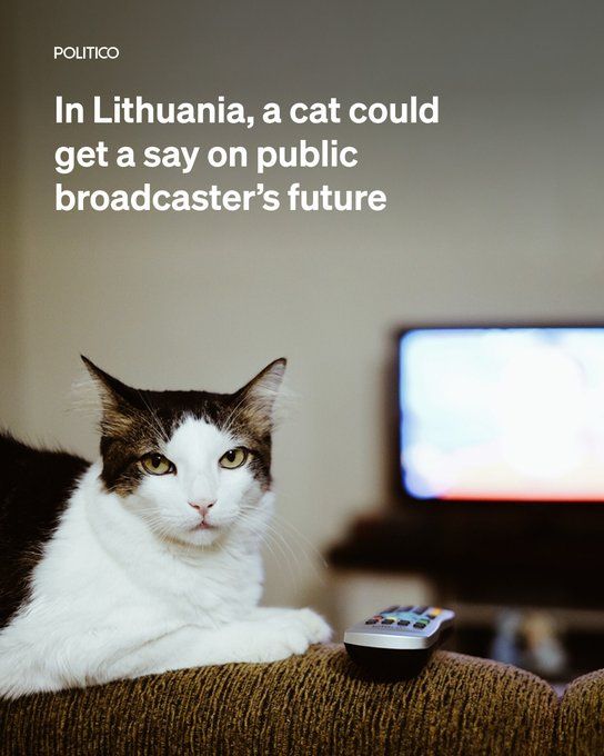 Click image for larger version

Name:	G8d81fzXQAEuJFK?format=jpg&amp;name=small.jpg
Views:	126
Size:	50,1 kB
ID:	2235547