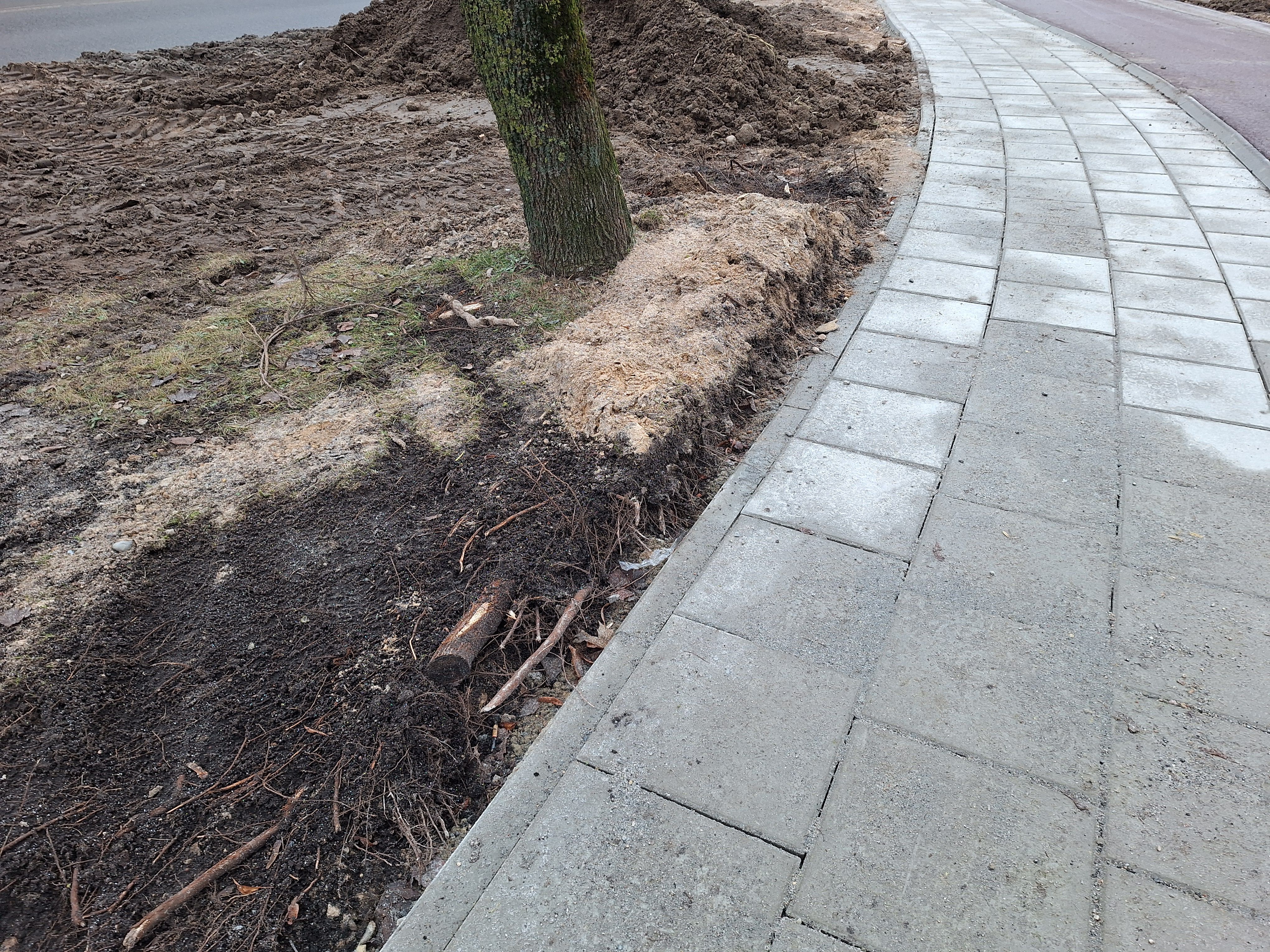 Click image for larger version

Name:	20251223_093417.jpg
Views:	189
Size:	3,62 MB
ID:	2235953