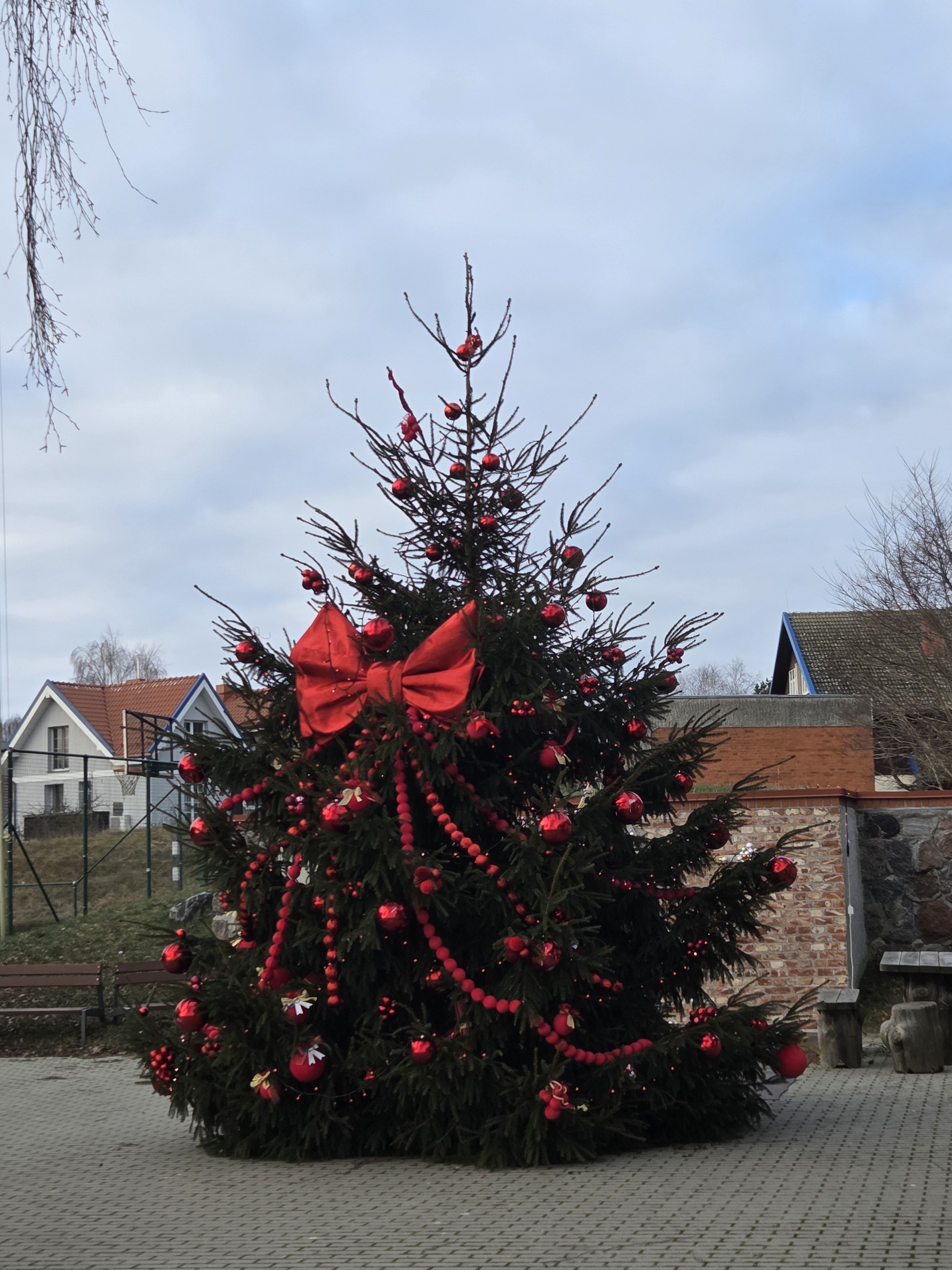 Click image for larger version

Name:	20251224_120235.jpg
Views:	6
Size:	1,13 MB
ID:	2236067