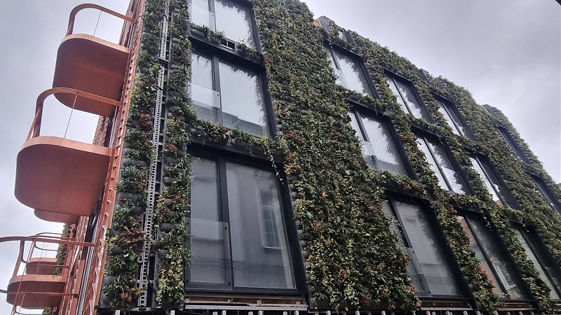 Click image for larger version

Name:	602009024_845308844928311_8992876200421104222_n.jpg
Views:	43
Size:	460,0 kB
ID:	2236254