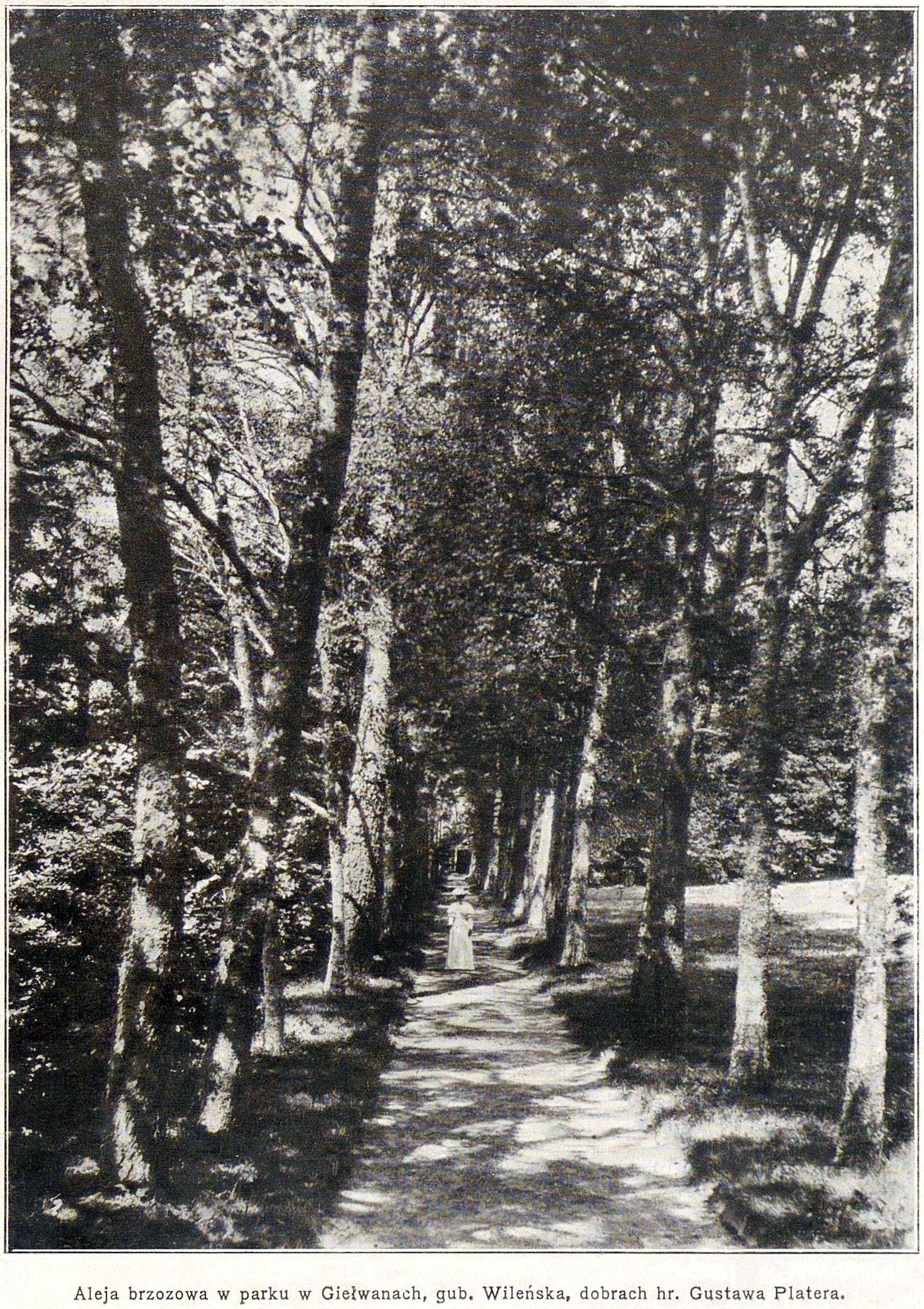 Click image for larger version

Name:	- Wieś Ilustrowana 1910, z. 9 (wrzesień) - 3 - 3aec3295-1ea7-461f-92ca-003.jpg
Views:	43
Size:	1,63 MB
ID:	2238022