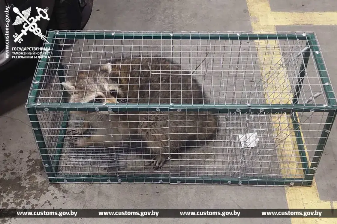 Click image for larger version

Name:	aux-1768477644-thumbnail.png
Views:	192
Size:	1,26 MB
ID:	2238536