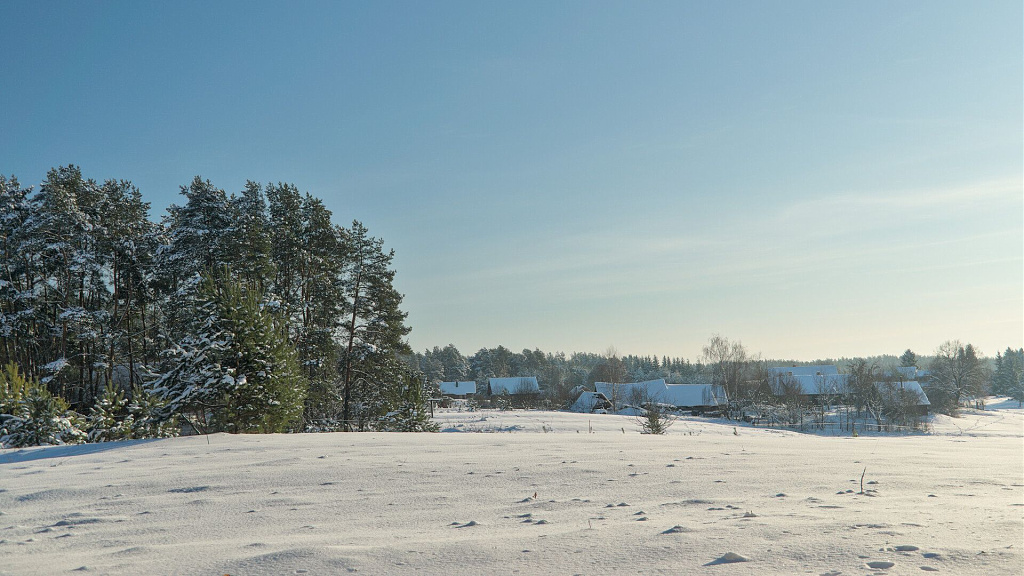 Click image for larger version

Name:	03_varnikai_20260117.jpg
Views:	76
Size:	324,1 kB
ID:	2238857