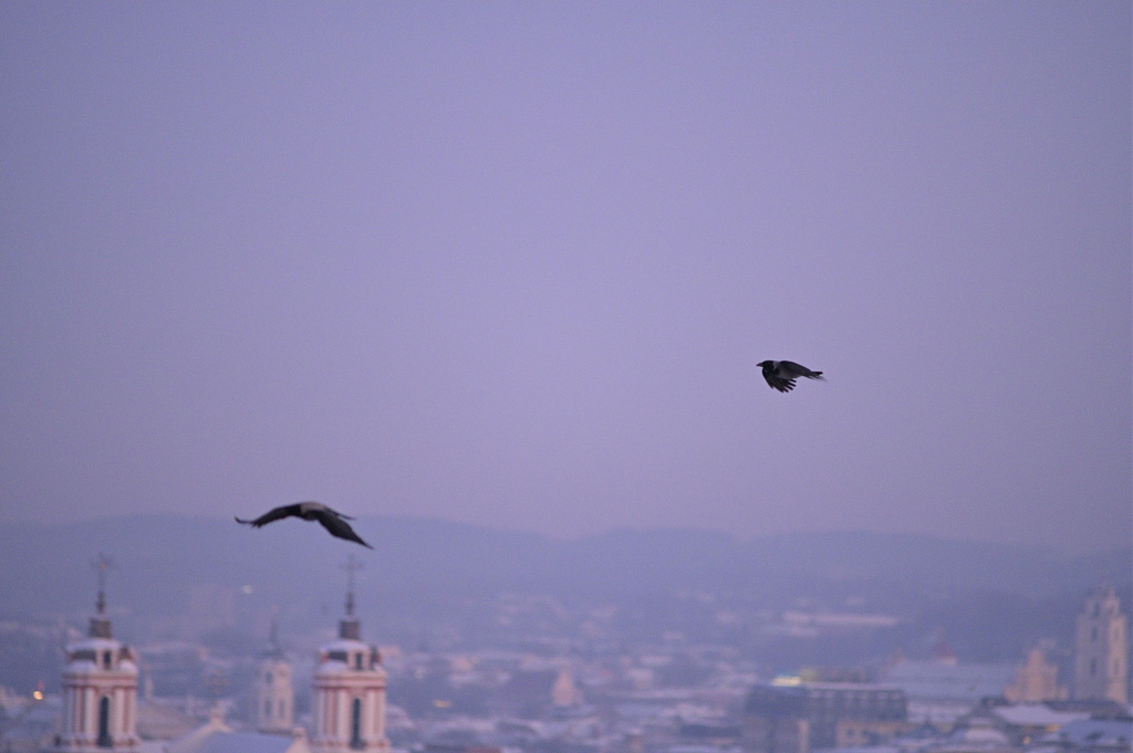 Click image for larger version

Name:	DSC_4662.JPG
Views:	192
Size:	1,09 MB
ID:	2239137