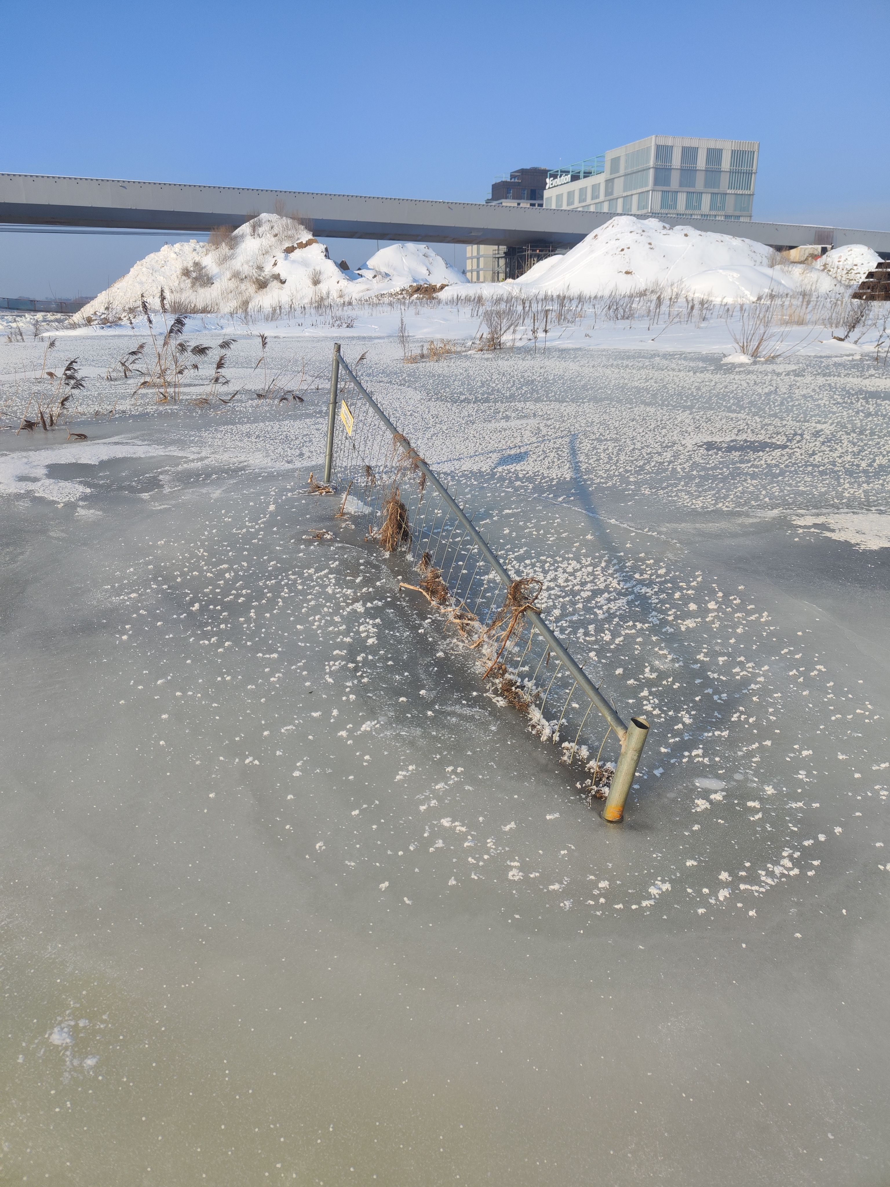 Click image for larger version  Name:	IMG_20260121_124733.jpg Views:	0 Size:	1,94 MB ID:	2239292