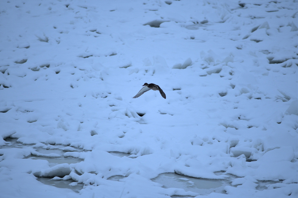 Click image for larger version

Name:	DSC_5563.JPG
Views:	20
Size:	736,1 kB
ID:	2240437