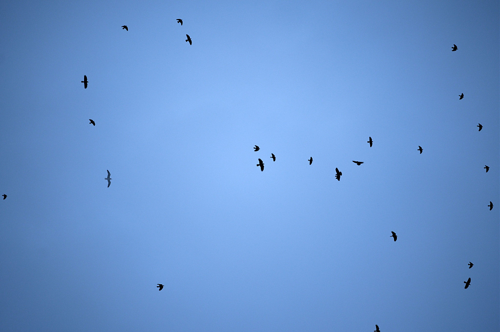 Click image for larger version

Name:	DSC_5489_01.JPG
Views:	17
Size:	1,03 MB
ID:	2240438