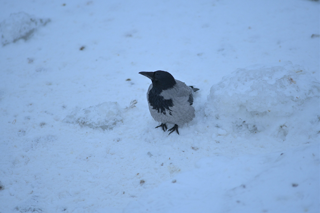 Click image for larger version

Name:	DSC_5451.JPG
Views:	18
Size:	581,5 kB
ID:	2240439