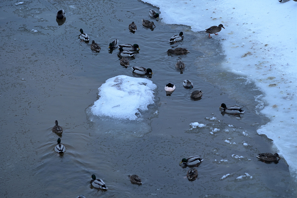 Click image for larger version

Name:	DSC_5537.JPG
Views:	18
Size:	1,11 MB
ID:	2240441