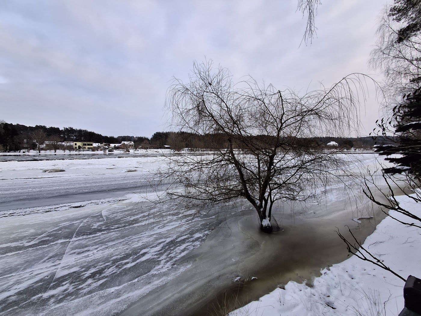 Click image for larger version  Name:	Sausio_pabaiga_20260124_160122.jpg Views:	0 Size:	310,9 kB ID:	2244663