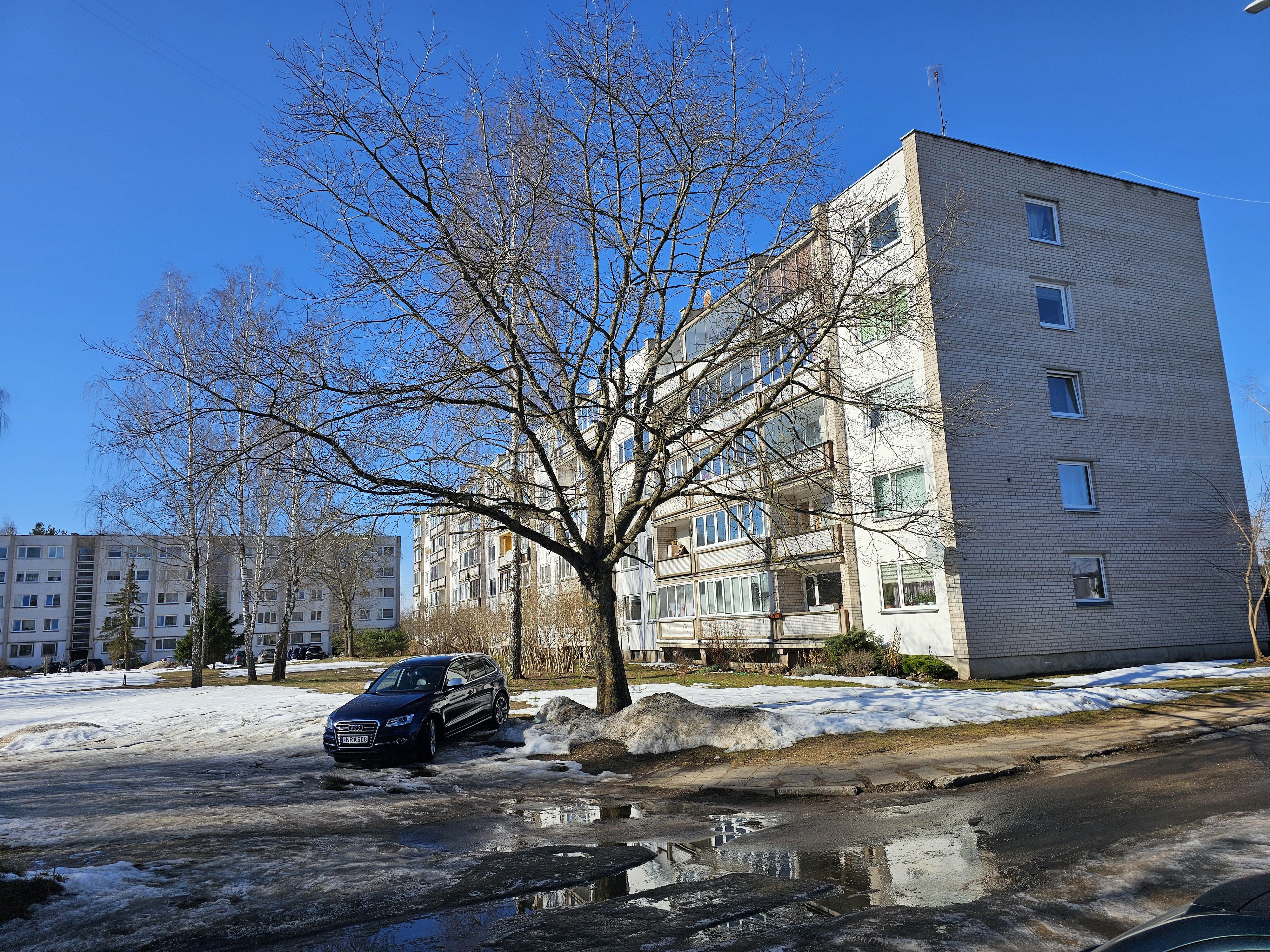 Click image for larger version

Name:	IMG_20260307_140325.jpg
Views:	38
Size:	3,18 MB
ID:	2244788