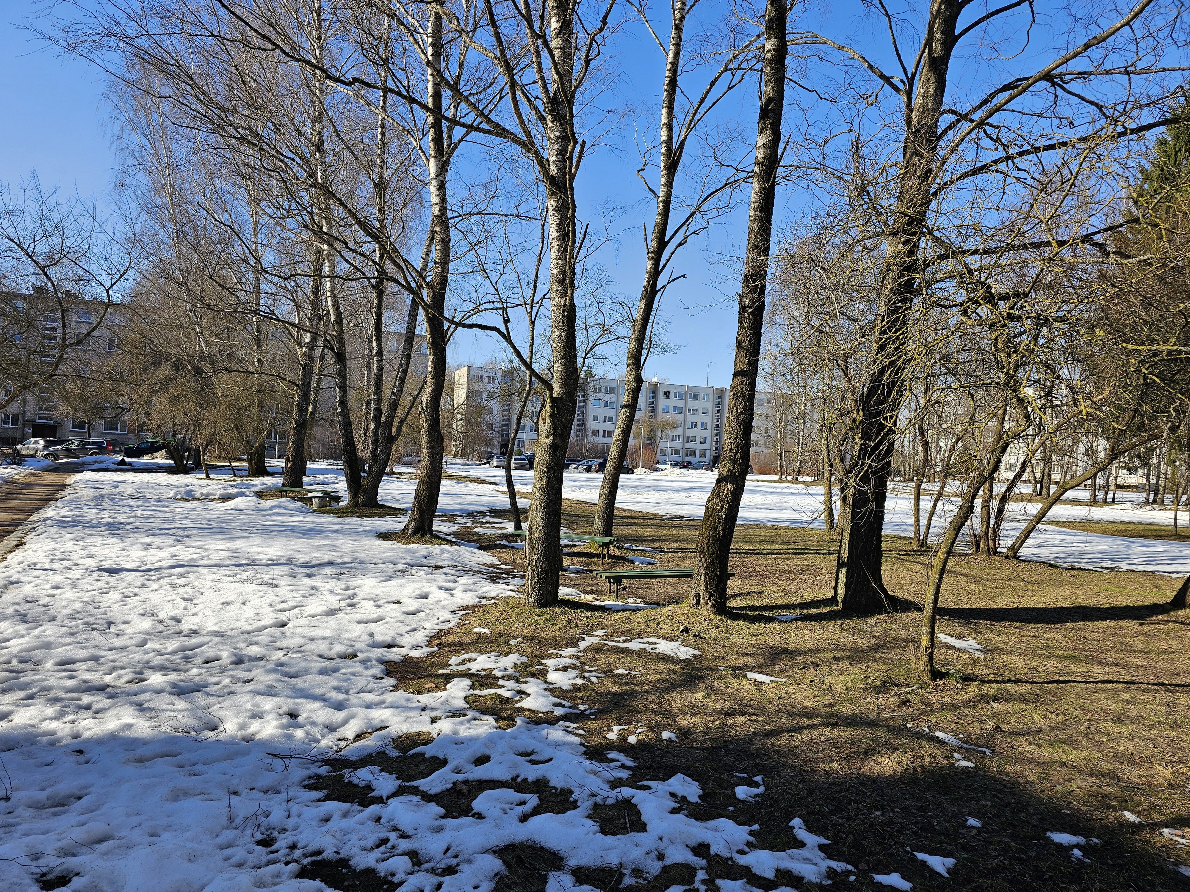 Click image for larger version

Name:	IMG_20260307_140531.jpg
Views:	38
Size:	4,03 MB
ID:	2244789