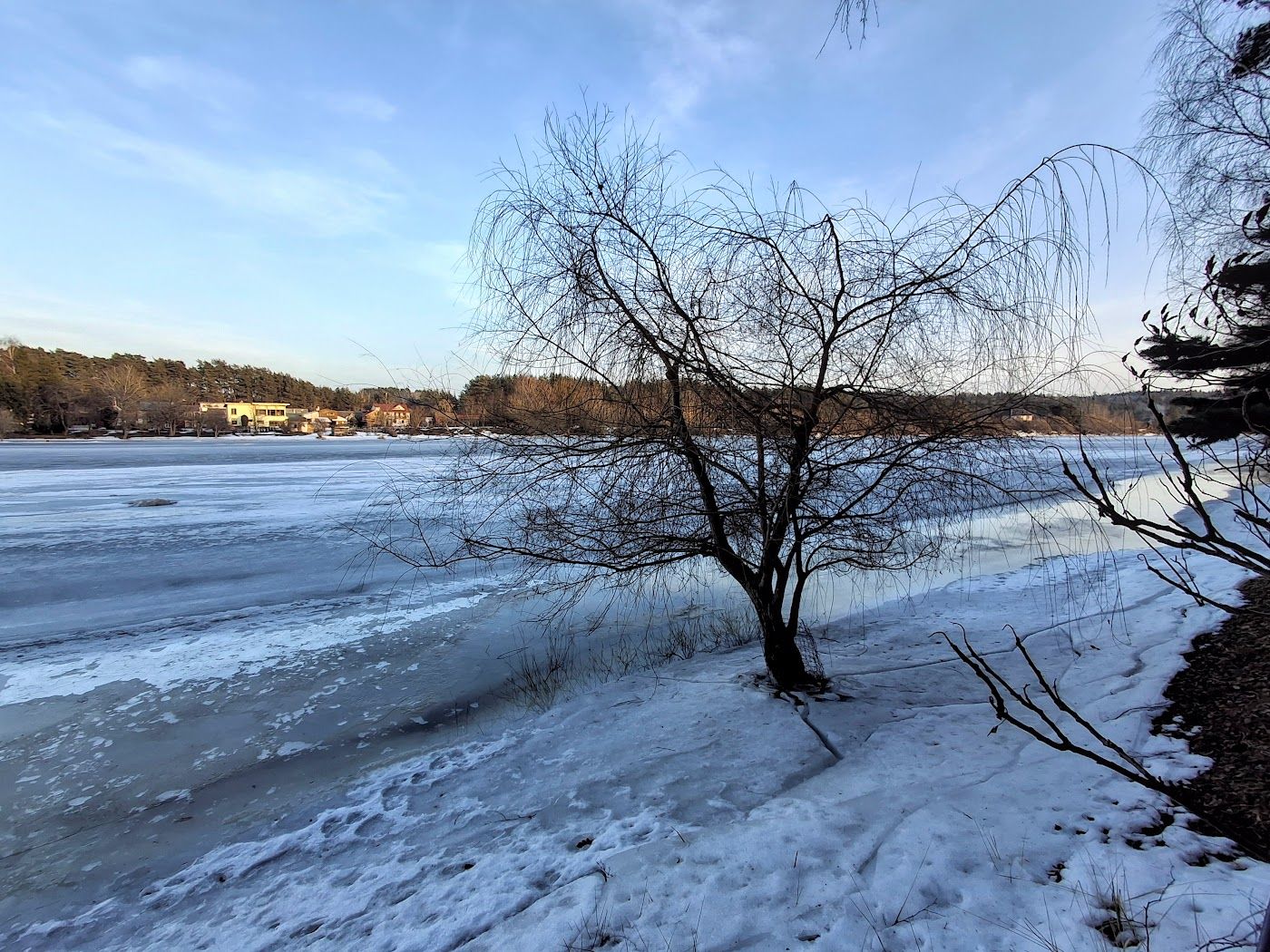 Click image for larger version

Name:	Kovo_pradžia_20260308_172927.jpg
Views:	8
Size:	362,4 kB
ID:	2244947