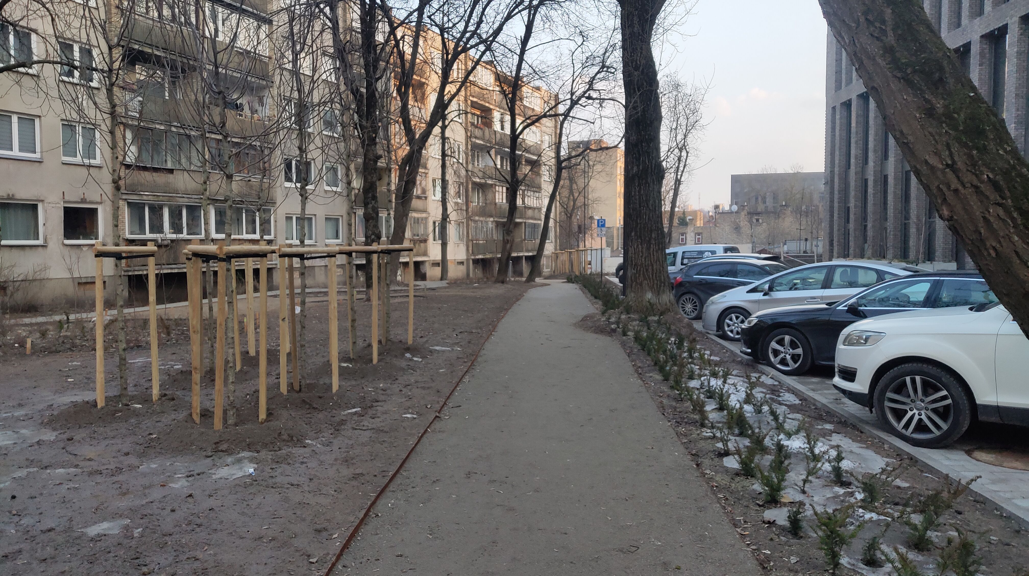 Click image for larger version

Name:	P60311-171241.jpg
Views:	378
Size:	1,54 MB
ID:	2246053