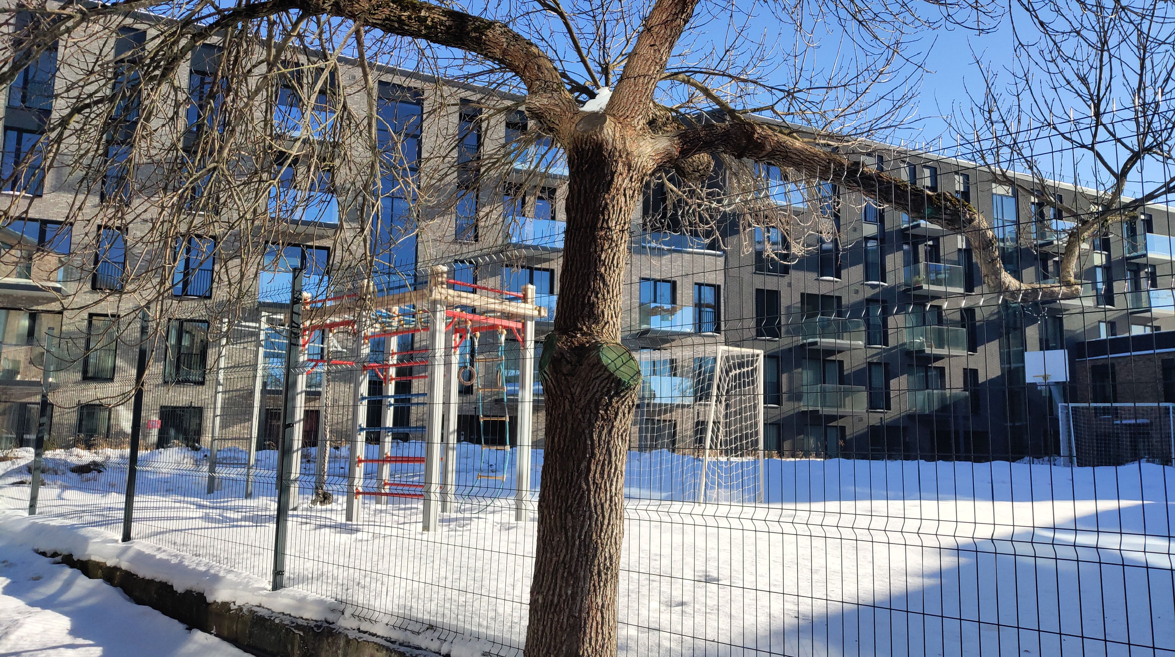 Click image for larger version

Name:	P60216-141424.jpg
Views:	799
Size:	2,15 MB
ID:	2246917