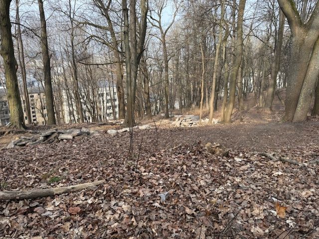 Click image for larger version

Name:	IMG_1879.jpeg
Views:	368
Size:	118,2 kB
ID:	2247101