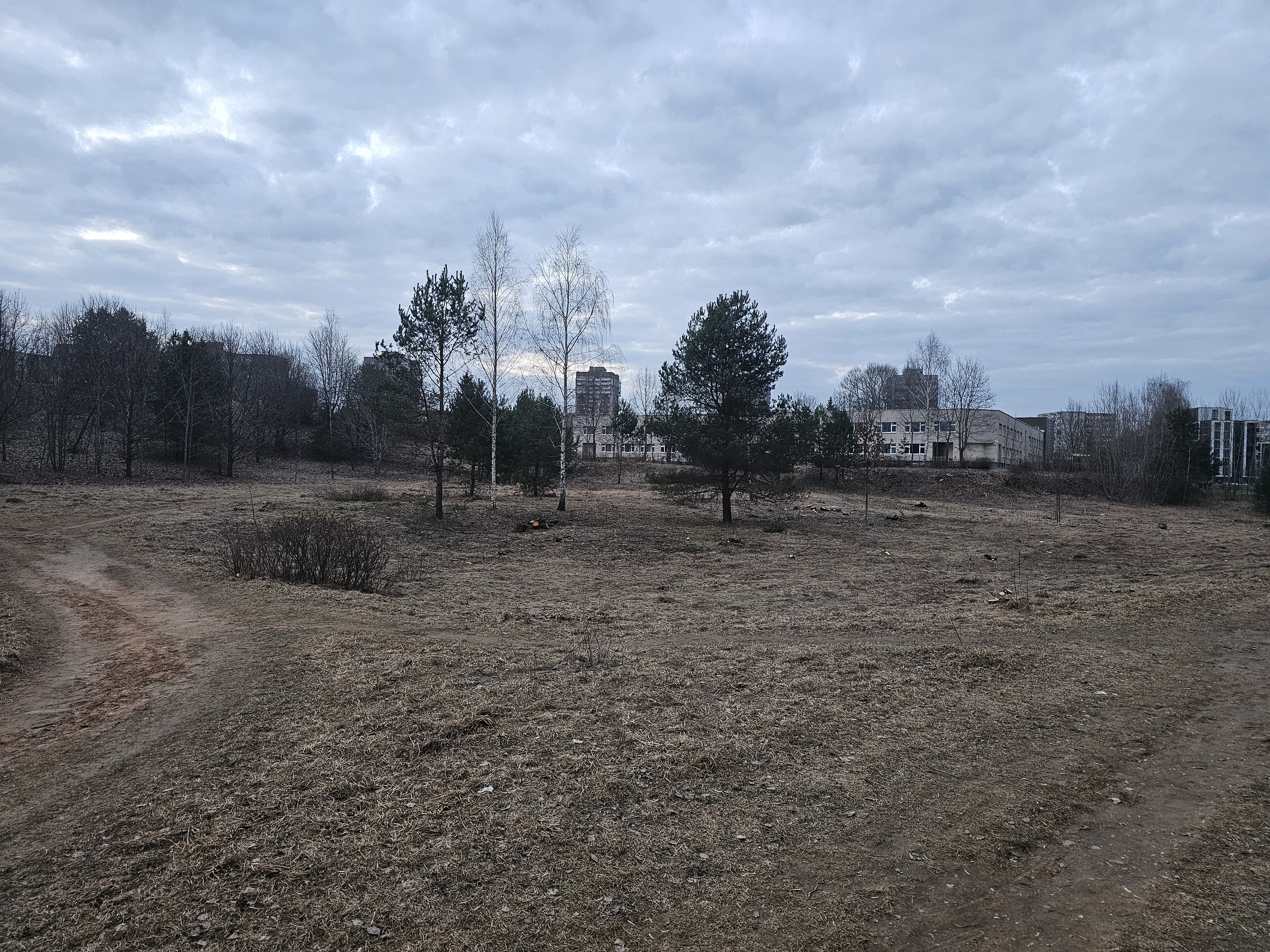 Click image for larger version  Name:	IMG_20260323_184400.jpg Views:	1 Size:	2,98 MB ID:	2247744