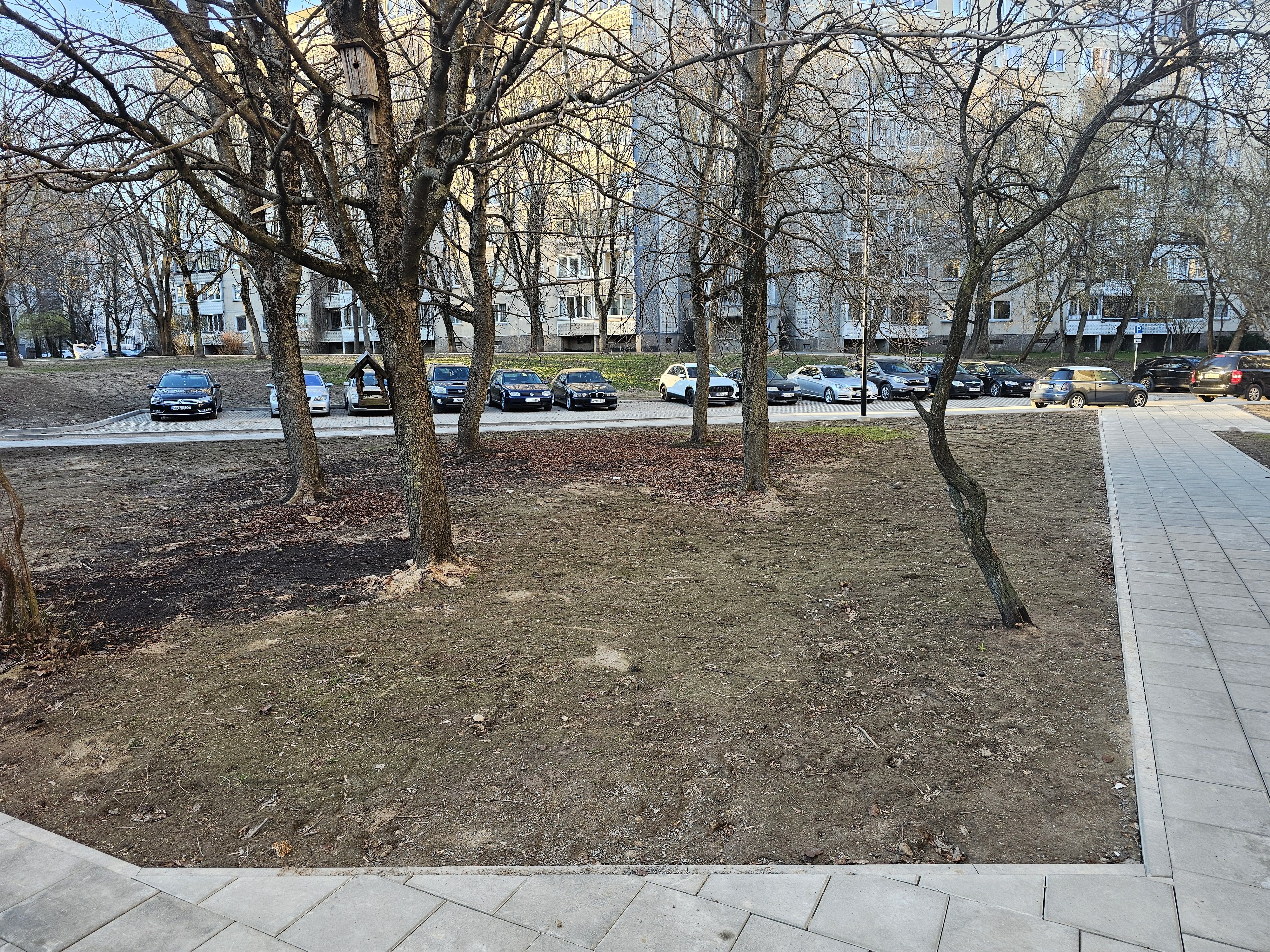 Click image for larger version

Name:	IMG_20260402_190658.jpg
Views:	138
Size:	4,53 MB
ID:	2248801