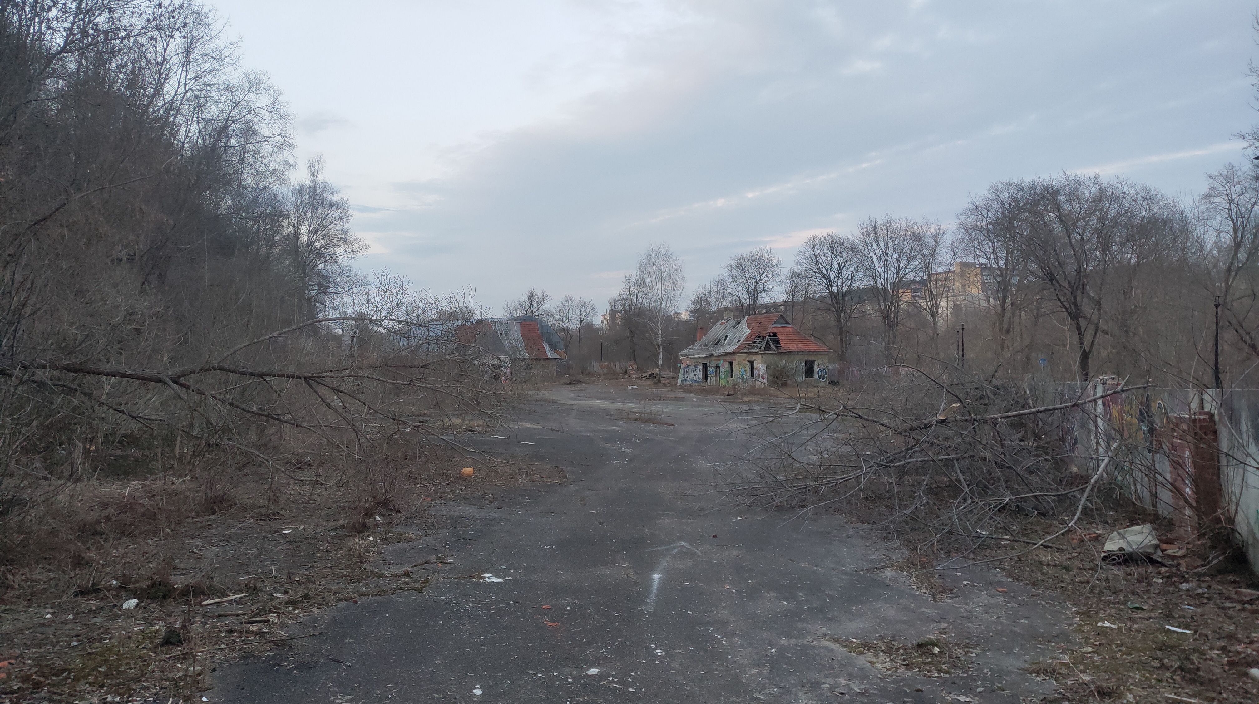 Click image for larger version

Name:	P60329-195052.jpg
Views:	275
Size:	1,42 MB
ID:	2249639