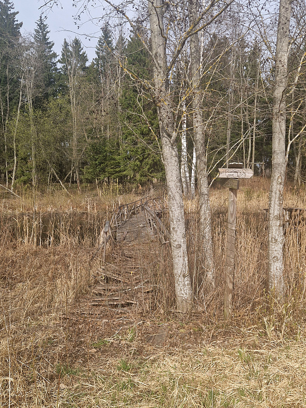 Click image for larger version

Name:	20260410_160616.jpg
Views:	26
Size:	3,24 MB
ID:	2250131