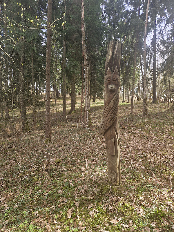 Click image for larger version

Name:	20260410_161019.jpg
Views:	25
Size:	3,22 MB
ID:	2250132