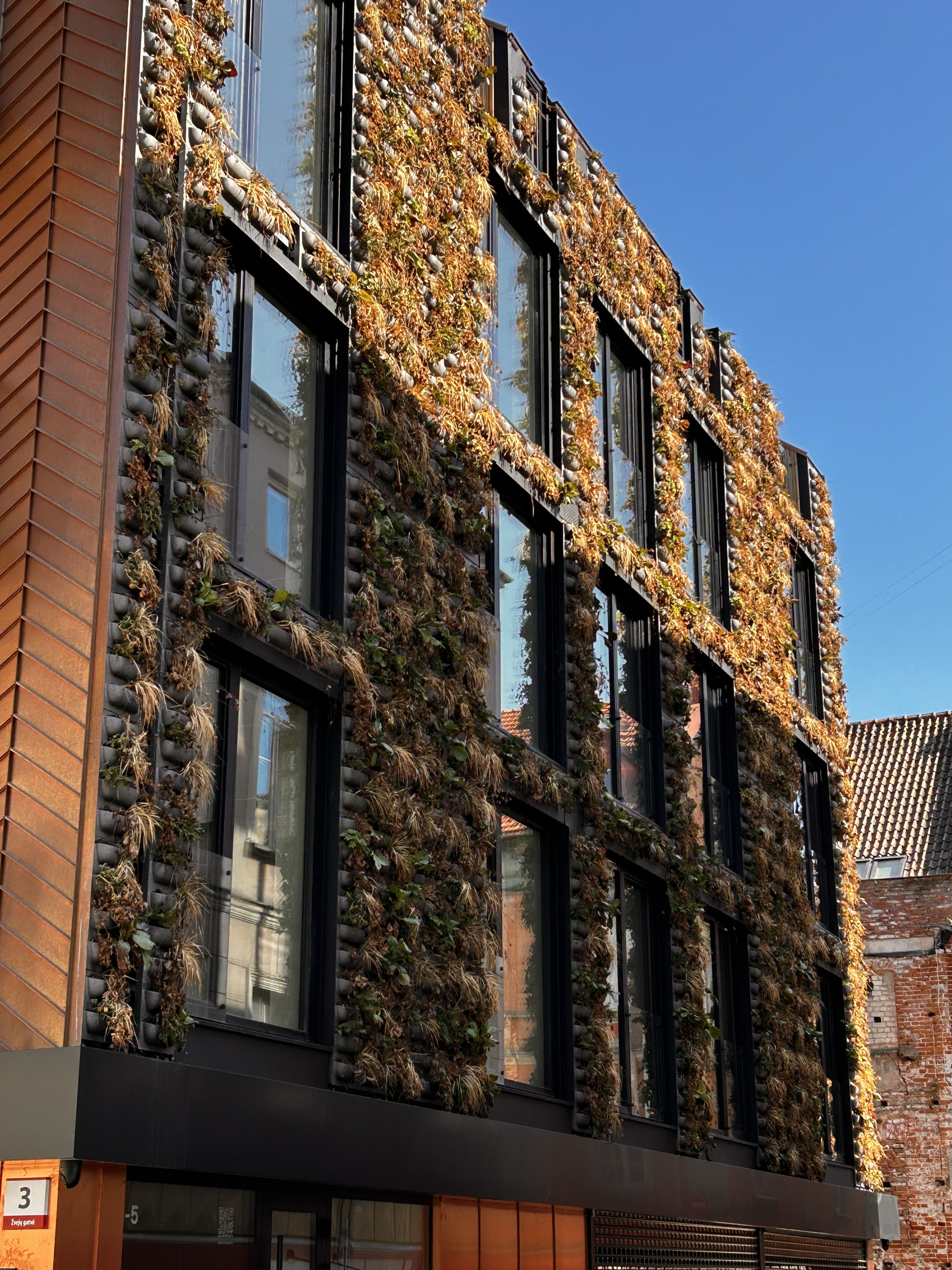 Click image for larger version

Name:	IMG_4935.jpeg
Views:	85
Size:	1,89 MB
ID:	2251074