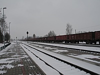 IMG 0031