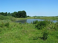 Šilgaliai