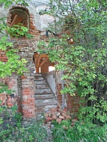 Šiaudiniškių dvaras