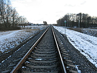 IMG 0011