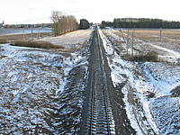 IMG 0018