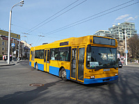P1030552