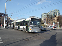 P1030557