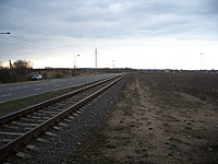 100 3381