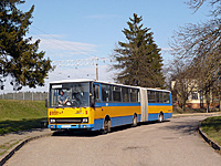 P1040114