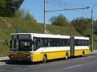 P1040411