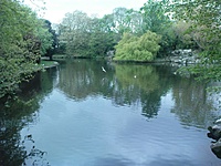 St. Stephen's Green
