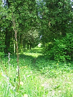 Lyduokių dvaras