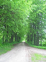 Prapuntų dvaras
