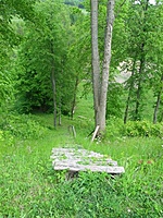 Dabravolės piliakalnis