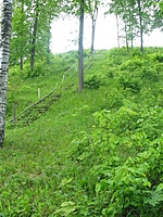 Dabravolės piliakalnis