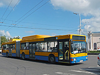 P1050691