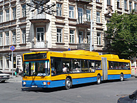 P1050941