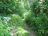 Branduoliškių dvaras
