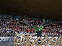 DSCN0554